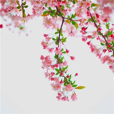 开元棋脾官方网站·官方网站